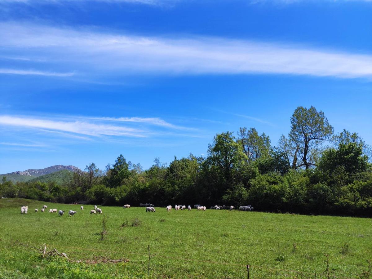 Velebit Lodge Lovinac  ภายนอก รูปภาพ
