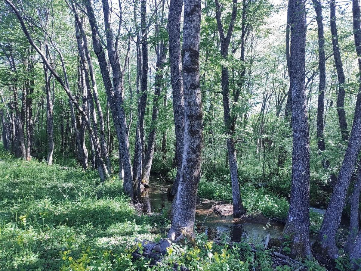 Velebit Lodge Lovinac  ภายนอก รูปภาพ